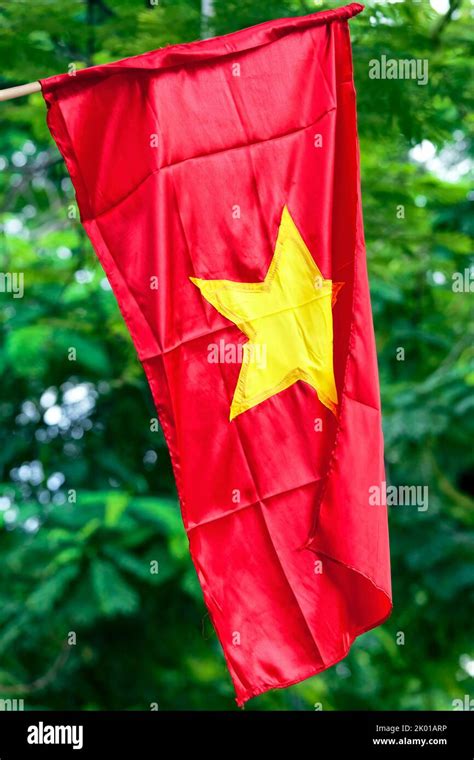 Vietnamese Flag Aginst Leaves Backdrop Yellow Star On Red Background