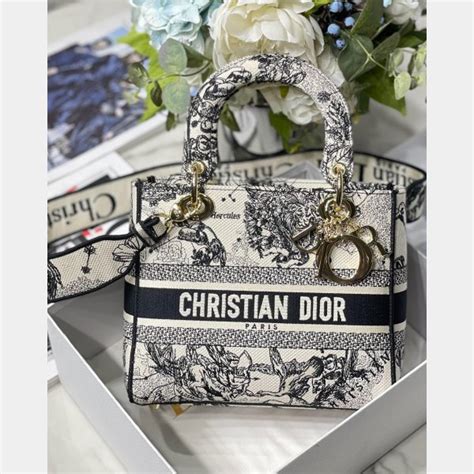 Welche Lady Lady Dior 24 Cm Solltest Du Replik Taschen Kaufen Luxus