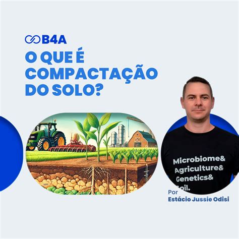 Entenda O Que Compacta O Do Solo E O Que Fazer Para Resolve