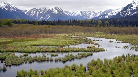 Melting Permafrost Could Release Massive Amounts Of Dangerous Mercury