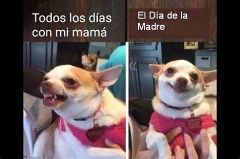 Día De La Madre 2023 México Mejores Memes Para Enviar Por Whatsapp Imágenes Frases