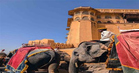 Golden Triangle Tour With Tigers Safari Pan India Tours