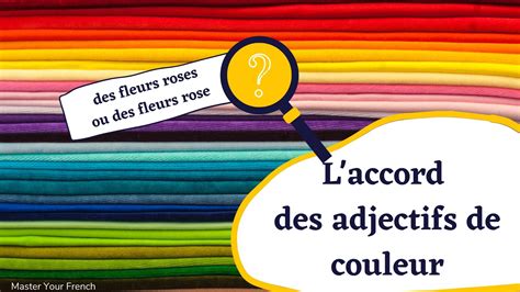 Laccord Des Adjectifs De Couleur Master Your French