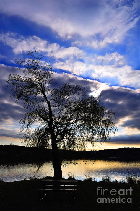 Sunset And Tree Silhouette Photograph By Sylvie Bouchard Fine Art America