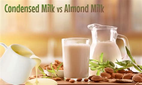 Condensed Milk vs Almond Milk: Which is Better? - The Coconut Mama