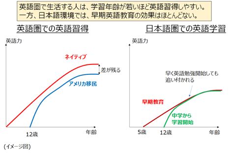 第二言語習得論をわかりやすく解説｜英語学習者が知るべき理由とは ビジネス英語習得の本質