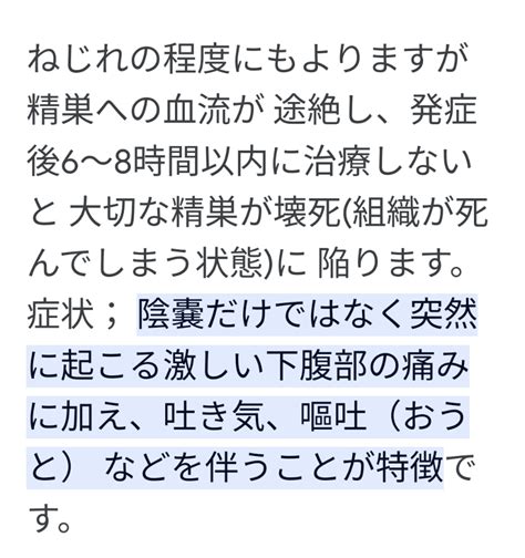 番外編♣精巣捻転 Porinのブログ