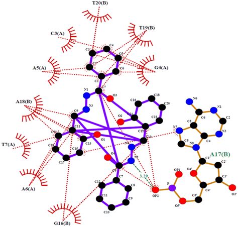 Lig Plot Showing 2d Graph Of Various Interactions And Interacting Download Scientific Diagram