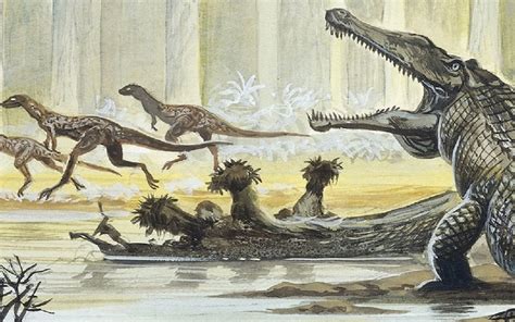 Reptile Evolution Was Triggered by Extreme Climate - The Hoard Planet