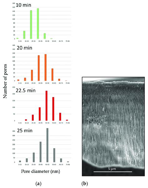 Pore Size Distribution Analysis Performed In A Samples Subject To