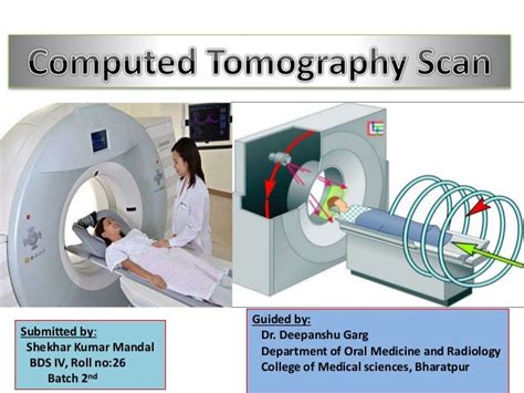 Computed Tomography Scan Also Called A Ct Or Cat Scan Cat Lovster