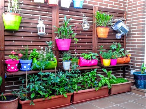 Plantas Perennes Florales Para Evitar En Espacios Pequeños 10 Opciones