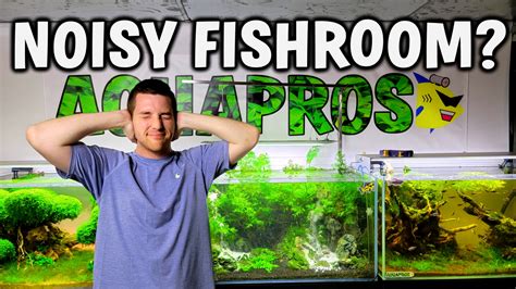 Got A Noisy Aquarium? Here's How To Quiet Your Fishroom – AQUAPROS