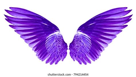 Purple Angel Wings Wallpaper