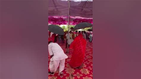 Traditional Rajasthani Dance Gher With Umbrella Culture Of Rajasthan