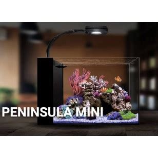 Waterbox Peninsula Mini S Lo Acuario Env O Gratis A Pen Nsula