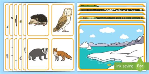 FREE! - Animals and Their Habitats Matching Activity - Teacher Made