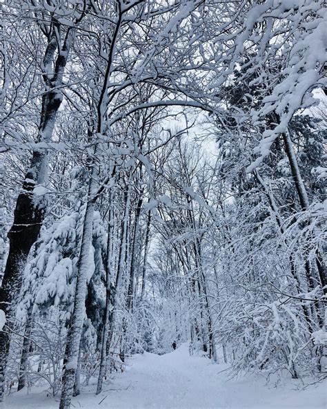 Hashtag Paysagemagnifique Sur Instagram • Photos Et Vidéos Paysages