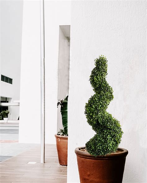 3ft Tall Artificial Spiral Topiary, Faux Boxwood Plants, Outdoor 2 Pack ...