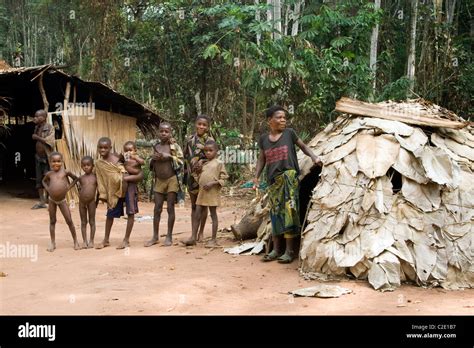 Pygmies In The Forestrepublic Of Congo Stock Photo Alamy