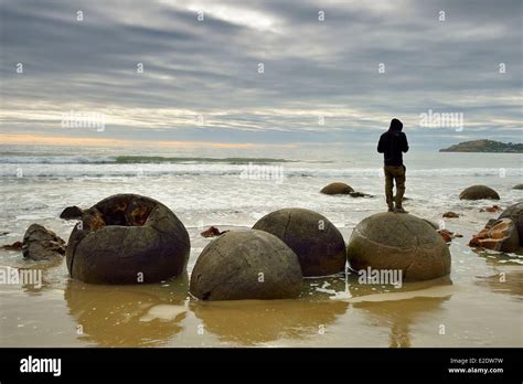 New Zealand South Island Otago Region The Moeraki Boulders Spherical