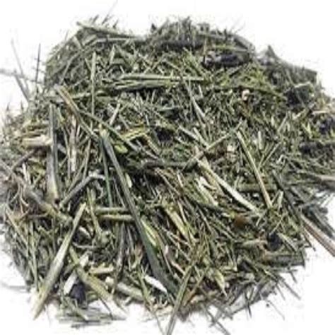 Dry Green Chirayata Kalmegh Swertia Chirayita For Ayurvedic Model