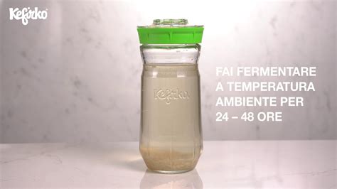 Come Preparare Il Kefir Dacqua Con Kefirko Kefir Fermenter Youtube