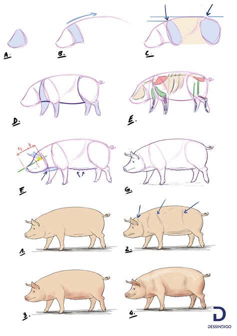 Pingl Sur Apprendre Dessiner Avec Dessindigo