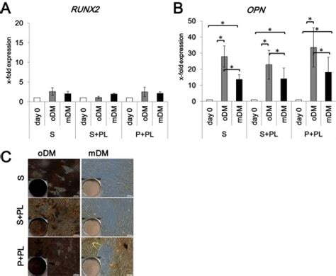 Choice Of Xenogenic Free Expansion Media Significantly Influences The