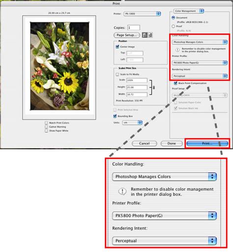 Eizo Color Matching Between Your Monitor And Prints