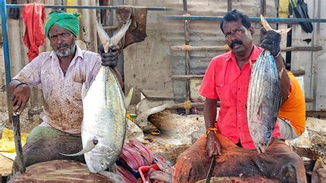 Big Tuna Big Trevally Fish Cutting Old Fish Cutting Skill In Market