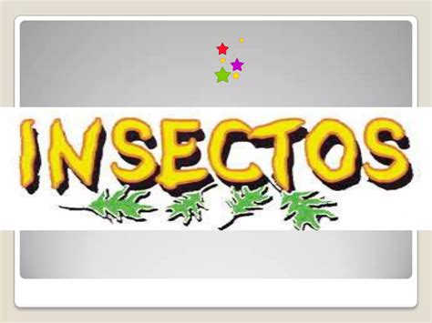 Anatomía Y Tipos De Larvas De Los Insectos Ppt