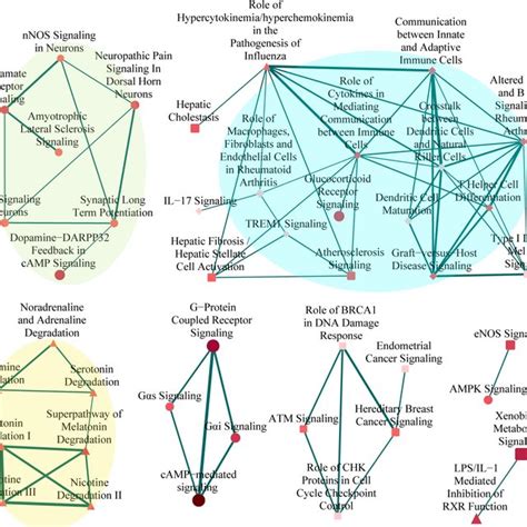 Pathway Crosstalk Among Nagenes Enriched Pathways Nodes Represent