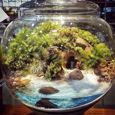 Awesome Bonsai Terrarium Jars Ideas Terrarium Jar Terrarium Plants