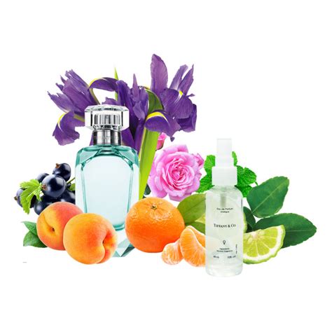 Tiffany & Co Eau De Parfum - Parfum Analogue 68ml — Купить Недорого на ...