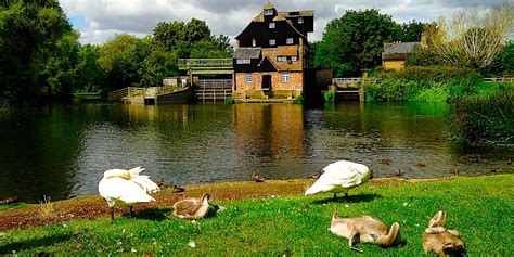 Cambridgeshire walks: Houghton Mill via The Thicket