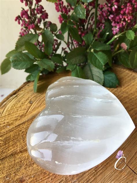 Selenite Shell Heart Welcome To Crystallis