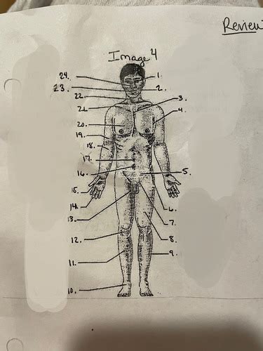 Anatomy Physiology Test 1 Flashcards Quizlet