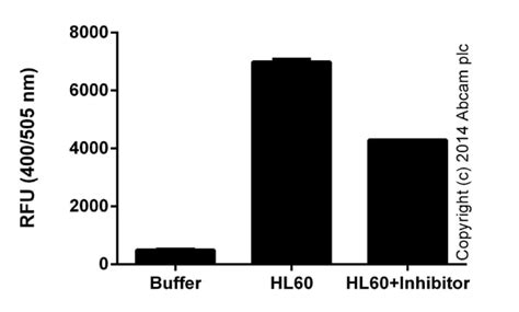 Cathepsin B Activity Assay试剂盒fluorometric Abcam中文官网