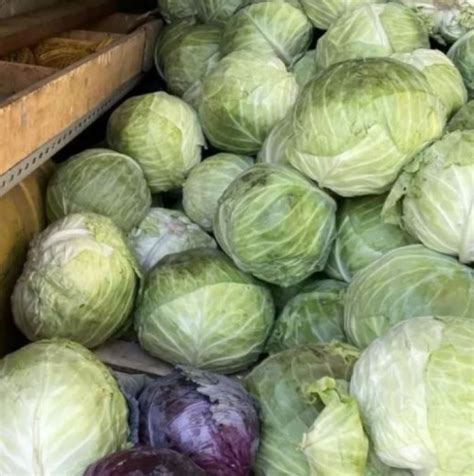 Време за зеле стана-Когато го купувате, задължително обърнете внимание ...