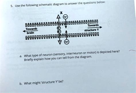 Solved Use The Following Schematic Diagram To Answer The Questions Below A What Type Of