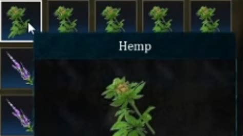 How To Get Hemp In Bellwright YouTube