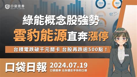 雲豹能源 6869 出關直奔漲停，綠能概念股強勢，台積電2330跌破千元關卡，台股再跌逾500點！ 口袋日報 2024 07 19 Youtube