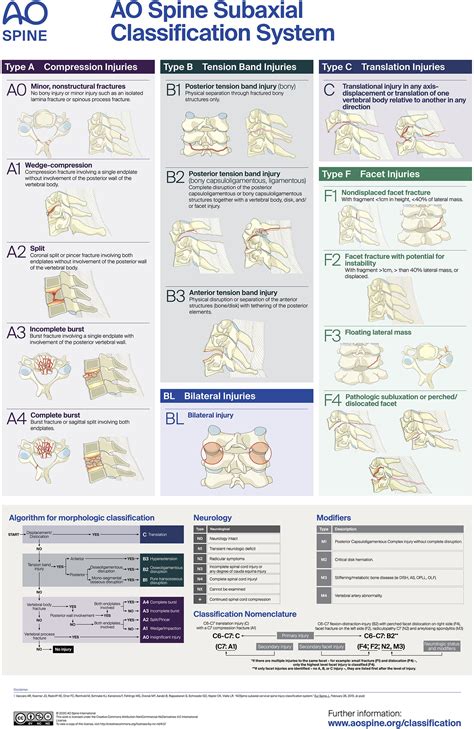 The Subaxial Cervical AO Spine Injury Score Jose A Canseco Gregory