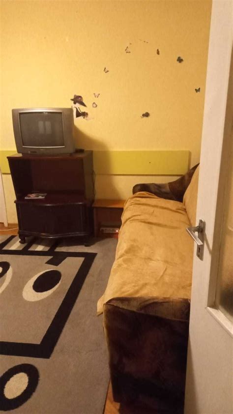 Colega De Apartament Iasi Olx Ro