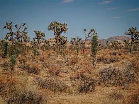 Superstition Mountain in Arizona · Free Stock Photo