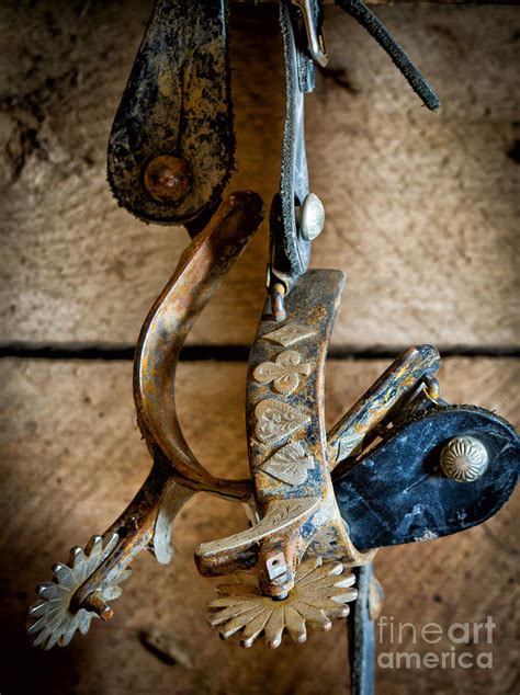 Spurs On Wall Photograph By Inge Johnsson Fine Art America