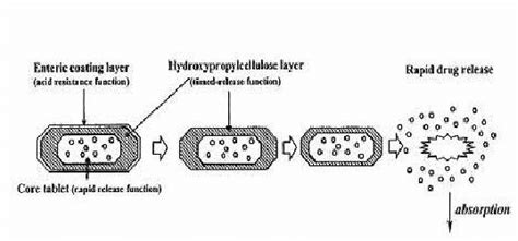 Design of Enteric coated-timed release press coated tablets (ETP tablets). | Download Scientific ...