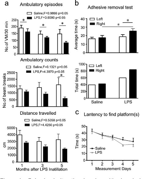 Figure From Intranasal Lps Mediated Parkinsons Model Challenges The