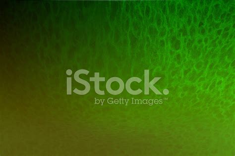 Bright Green Abstract Background Stock Photo | Royalty-Free | FreeImages